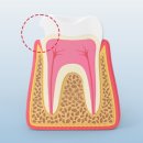 서울아트치과의원 이미지