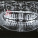맑은미소치과의원 이미지