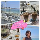 (주)선인 - 아산시 | [속초여행] 1day 속초 현지인 대구탕 맛집 선인식당 & 오션뷰 카페 아루나