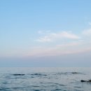 바다애민박 이미지