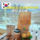 행운마트 | 춘천 여행 감자밭 감자빵 감자치즈빵 포장 후기 웨이팅 주차 총정리