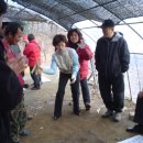 대복농장 이미지