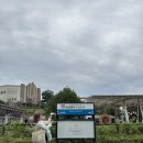 코코베르나 | 퇴사 후 떠나는 일본 여행 3일차 (세이부유원지 워터파크, 치이카와 팝업스토어, 타코파)