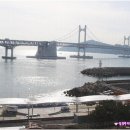 바다향횟집 - 보령시 큰오랏6길 55 | 바다향횟집