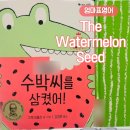 상상소리 in 영어그림책 | Watermelon Seed 수박씨를 삼켰어 Greg Pizzoli 그렉 피졸리 엄마표영어 유아 그림책 추천, 닥터 수스 상