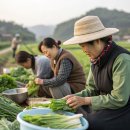 장항농장 이미지