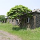 제주 구 해병 훈련시설 이미지