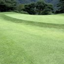 프리스틴밸리GC 네이버블로그