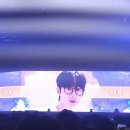 pet11러2699 | 2024 뷰티풀 민트 라이프 후기 @ 올림픽공원 핸드볼경기장 2편