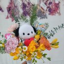 선동초등학교병설유치원 이미지