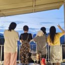 두지네 윗집 이미지