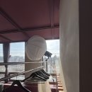 롯데광주질스튜어트스포츠 | 광주 돌스냅 후기 | 반르시엔 비올라홀에서 야외 촬영부터 돌잔치까지 자연스럽게 기록한 하루