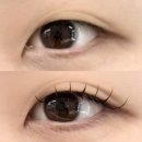 굴로장생 | [대구/달서구] ‘리카뷰티’ 속눈썹 연장 커스터볼륨 솔직후기