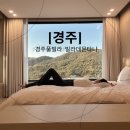 문 닫고 들어간 자녀의 마음 문열기 | 경주 여행 독채 풀빌라 빌라데몬타냐 힐링 숙소 몬타냐 A동 후기 2