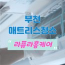 라퓨라홈케어고양파주점매트리스소파침대에어컨청소