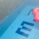 대전 근교 풀빌라 디엠제트 세종 펜션 온수풀 불멍 캠프 스탠리 후기