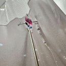 제이에이치박준희이비인후과의원 | 광주 남구 진월동 박준희 이비인후과 : 비염 축농증 갑상선