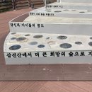 삼선산수목원 벚나무 | 당진 삼선산 수목원 후기 / 당진 가볼만한곳 추천🌳 (특히 아이들과!👨‍👩‍👧‍👦)