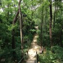 장군봉체육관 이미지