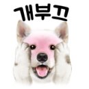 디스크독 연구소 이미지