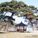 화전리경로당 네이버블로그