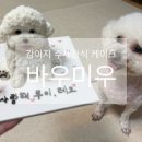 바우미우 이미지