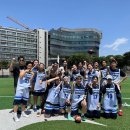 신흥스포츠 이미지