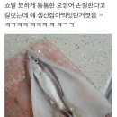 오징어pc 이미지