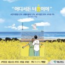 내맘대로여행 이미지