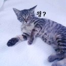 우리사 이미지