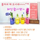 라틴댄스 자이브룸바(오후반) 이미지