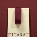 디캐럿의원 이미지