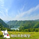 푸른농장A | 한국의 스위스? 춘천 해피초원목장 인생샷 포토존 및 방문 꿀팁