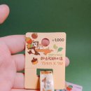 바로잡어 이미지