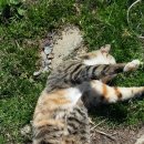 채령농장 이미지