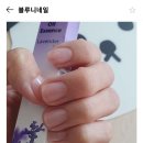 블루니네일