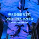 이마트24 R안산월피점 | 인스파이어 리조트 고래쇼 셔틀버스 타고 뚜벅이로 가기