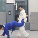 용인대 부흥 유도 체육관 | 속초유도 개인 맞춤 레슨으로 기초부터 꼼꼼하게 배울수 있는 용인대부흥유도체육관