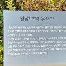 사계고택 | [후기](충남 계룡) 보기드문 한국의 가을 고택-계룡 사계 김장생 고택, 사계고택