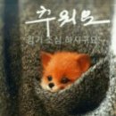 아름답다 Daum카페
