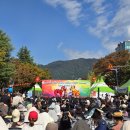 용지문화공원 | 제20회 MAMF (맘프) 문화다양성 축제 2025년도 생생 후기! 창원용지문화공원일대~성산아트홀의 분위기