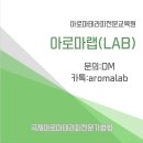 대운아로마 네이버블로그