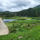 금강변길 이미지