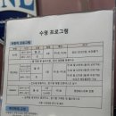 나인키즈 스포츠 | [서울 압구정] 나인키즈 스포츠 🏊🏻‍♀️🏊🏻‍♂️ 수영 레슨 후기💙 대한연맹등급제🩵 수영등급제인증수영장🩵 수영...