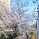 장유스포츠센터 젤미다목적구장 | to 블로그씨 267 - 김해 장유 대청천(산책 코스) + 장유스포츠센터 젤미다목적구장 공사 현장