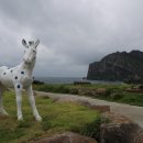 라운지나인 이미지