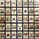 11545-02-36-31 | 멸종위기동물특별전 (진해야외공연장) - 우리에게 남은 것은 사랑이야 (2026. 02.)