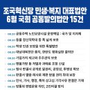 7월19일(금) [대전역 판넬전] 조국혁신당이 6월에 입법 발의한 28가지 민생•복지 법안 설명으로 잠재적 지지자 확보 가능성 확인 ! 이미지