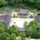 청룡사 티스토리
