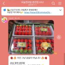오늘앤과일 - 의정부시 안말로85번길 32 | 오늘앤과일